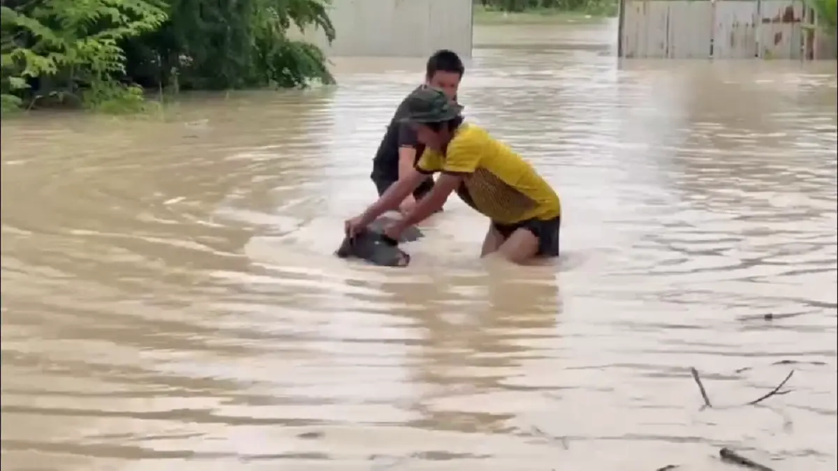 ปลวกแดงอ่วม! น้ำทะลักท่วมบ้าน กู้ภัยช่วยหมู 7 ตัวลอยคอรอด