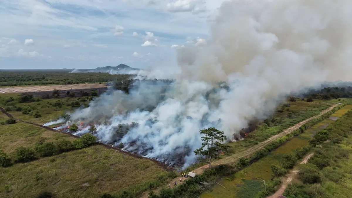 ไฟป่าพรุทะเลน้อยปะทุลามสวนปาล์มวอด 200 ไร่ เร่งสูบน้ำสู้