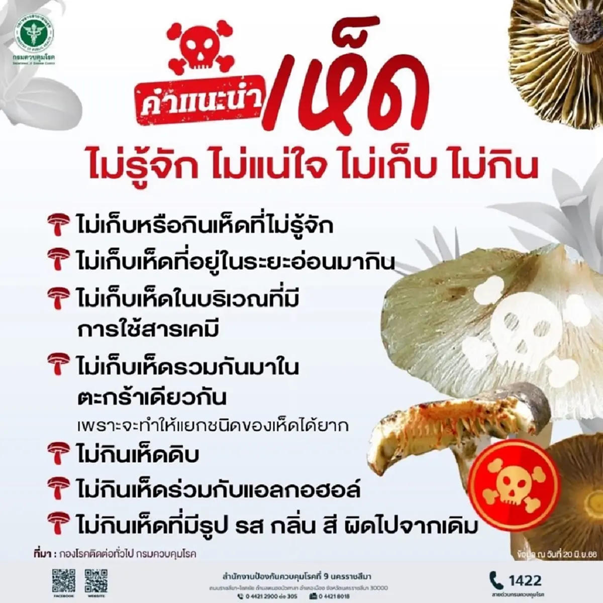 เตือนภัยเห็ดพิษ! อีสานใต้ป่วยทะลุ 335 ราย ชัยภูมิหนักสุด