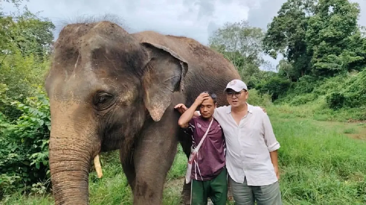 โล่งอก! "พังแอ้ม" ช้างพิการขาหน้า ถูกน้ำป่าซัด ล่าสุดช่วยขึ้นฝั่งได้แล้ว