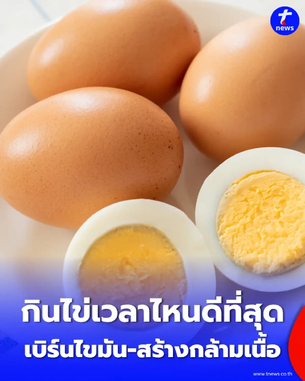 กินไข่เวลาไหน เบิร์นไขมัน-สร้างกล้าม ดีที่สุด หลายคนมักพลาด
