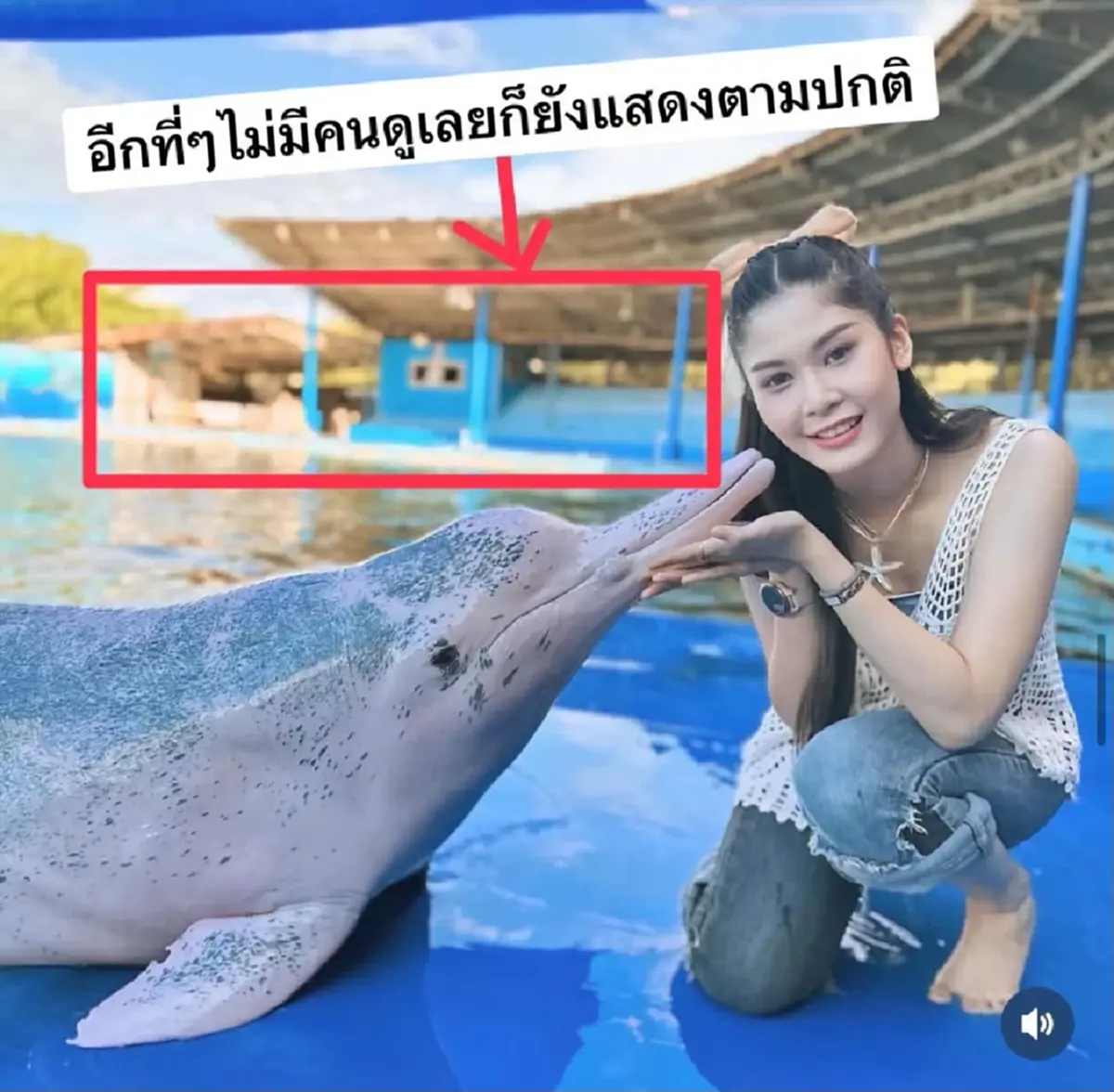 วิกฤตนักท่องเที่ยวบางตา คนดูแทบไม่มีแต่โลมายังโชว์เต็มที่
