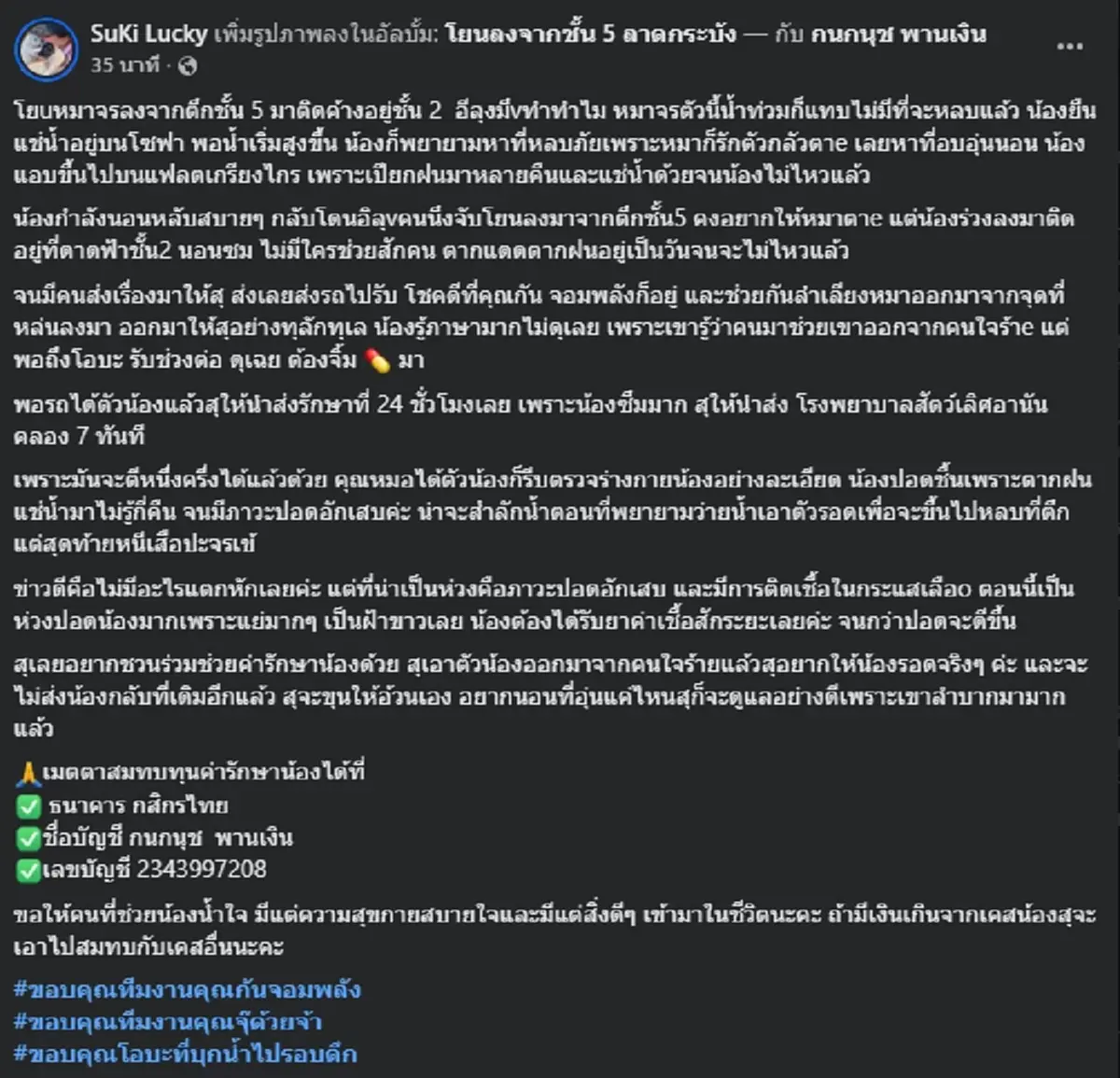 เปิดชะตากรรม "หมาจร" นอนหนาวบนโซฟา ล่าสุดเหมือนหนีเสือปะจระเข้