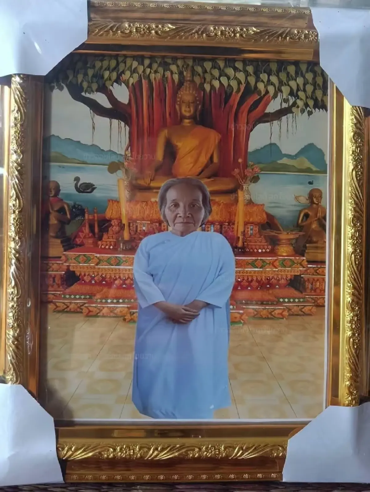 ยายวัย 70 ล่าสุดได้ช่างภาพถ่ายให้ใหม่ เห็นแล้วน้ำตาไหลแทนเลย