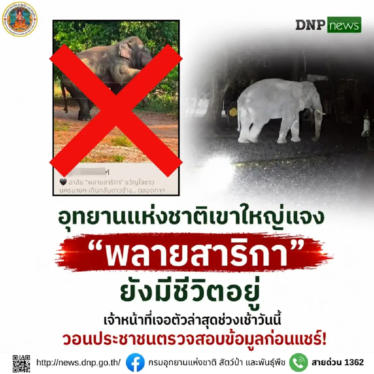 ภาพ : กรมอุทยานแห่งชาติ สัตว์ป่า และพันธุ์พืช