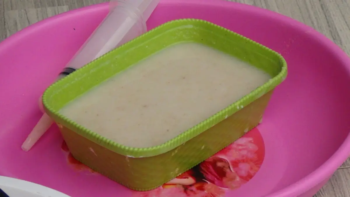 เปิดใจเจ้าของ "น้องมารวย" สุนัขกรามหาย ป้อนอาหารเหลววันละ 3 มื้อ