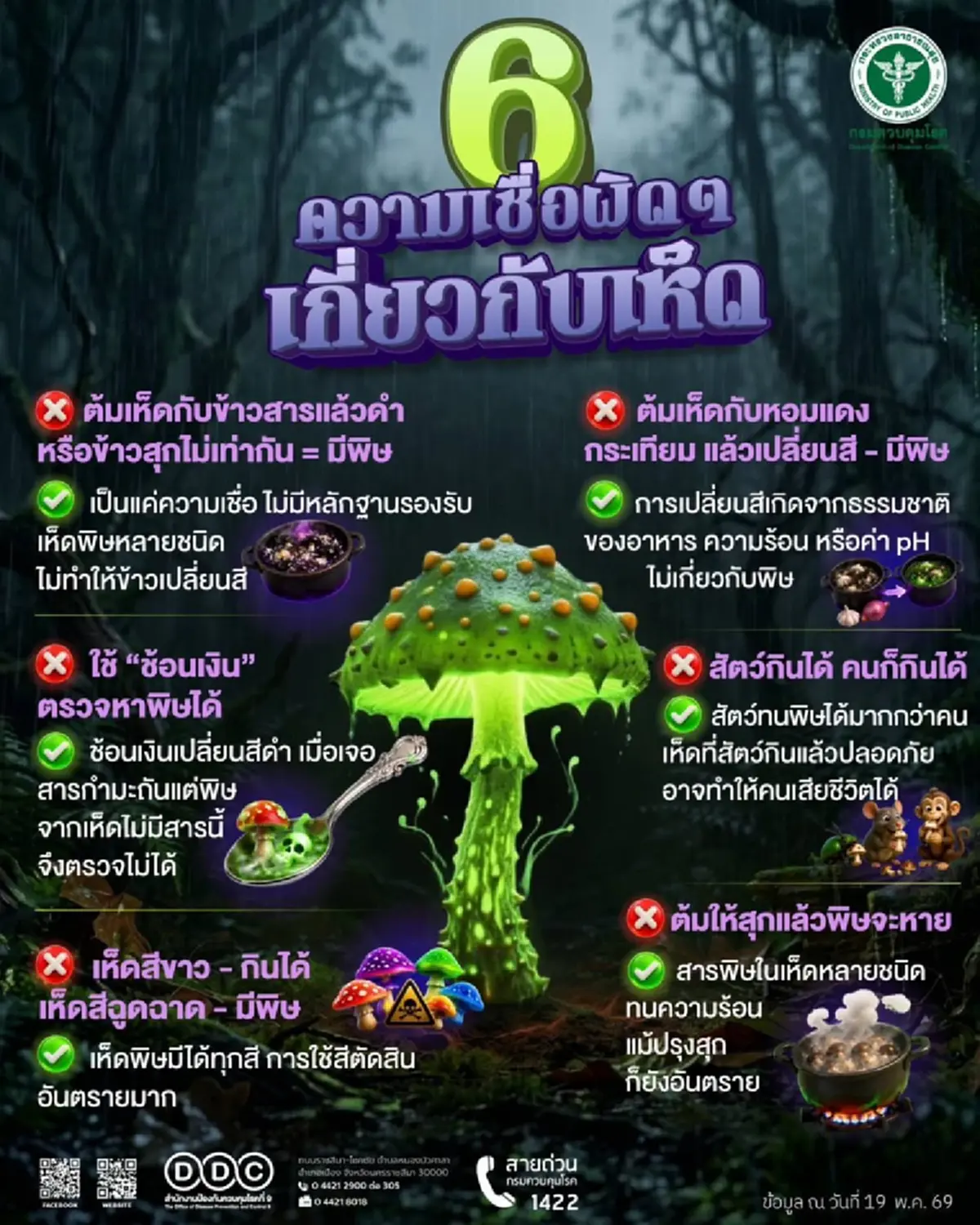 เตือนภัยเห็ดพิษ! อีสานใต้ป่วยทะลุ 335 ราย ชัยภูมิหนักสุด