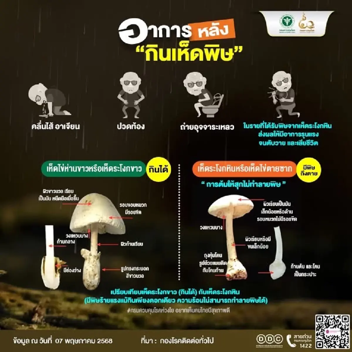 เตือนภัยเห็ดพิษ! อีสานใต้ป่วยทะลุ 335 ราย ชัยภูมิหนักสุด