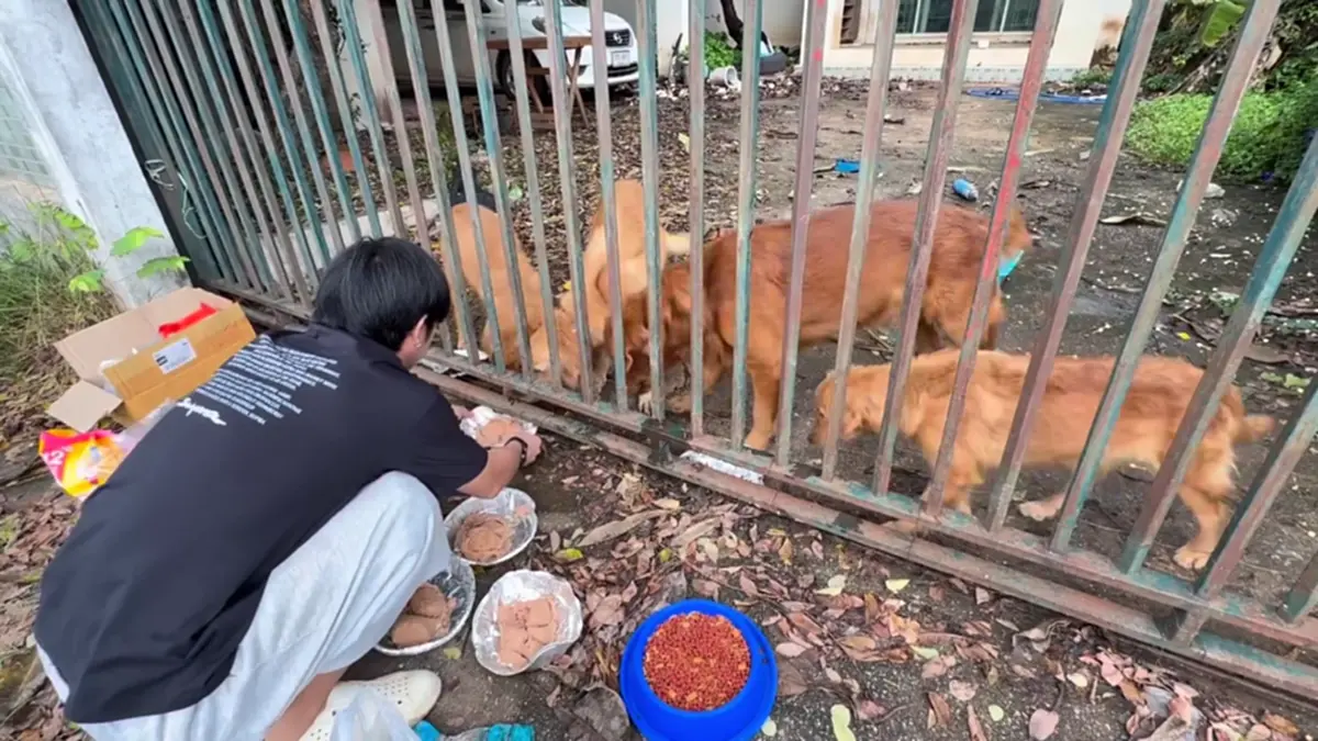 ที่มา/ภาพ Facebook : ส้ม ส้ม'มมม