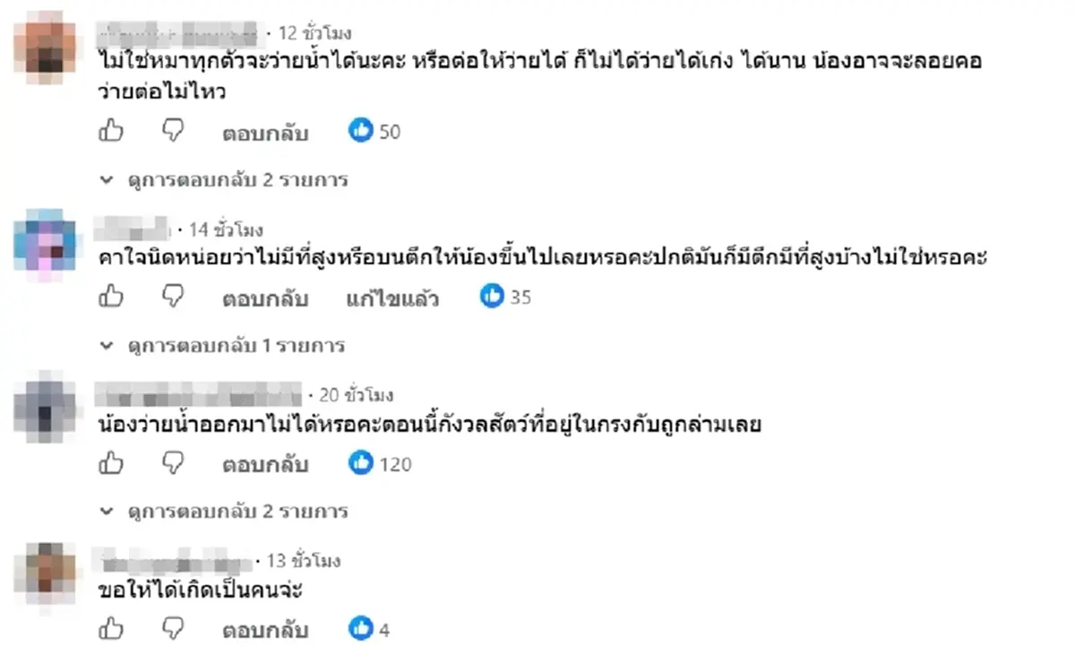 เพจดังแจ้งข่าวเศร้า น้องหมูแดง กลับดาวแล้ว หลังน้ำท่วม ม.ราม หนัก