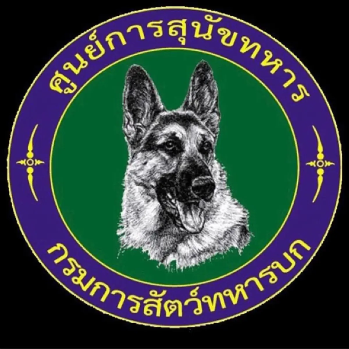 ศูนย์การสุนัขทหาร แจงข้อเท็จจริง สิบโท วัย 27 ดับในบ้านพักของหน่วย