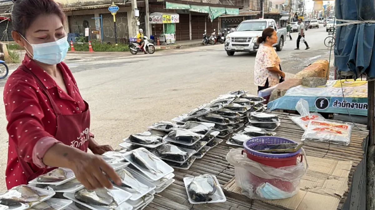 ปลาทูโคราชต้นทุนพุ่ง 3 เท่า! แม่ค้าแก้เกมลดปลาในเข่งตรึงราคา