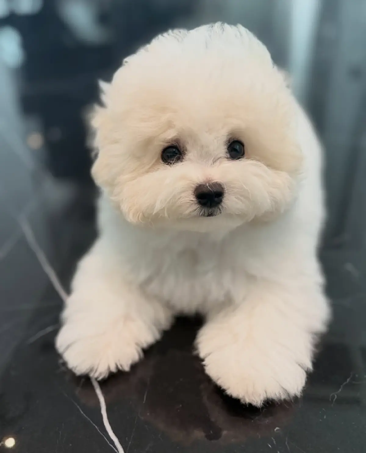 น่ารักคูณสอง "น้องมายู" ต้อนรับสมาชิกใหม่บ้านกำเนิดพลอย  