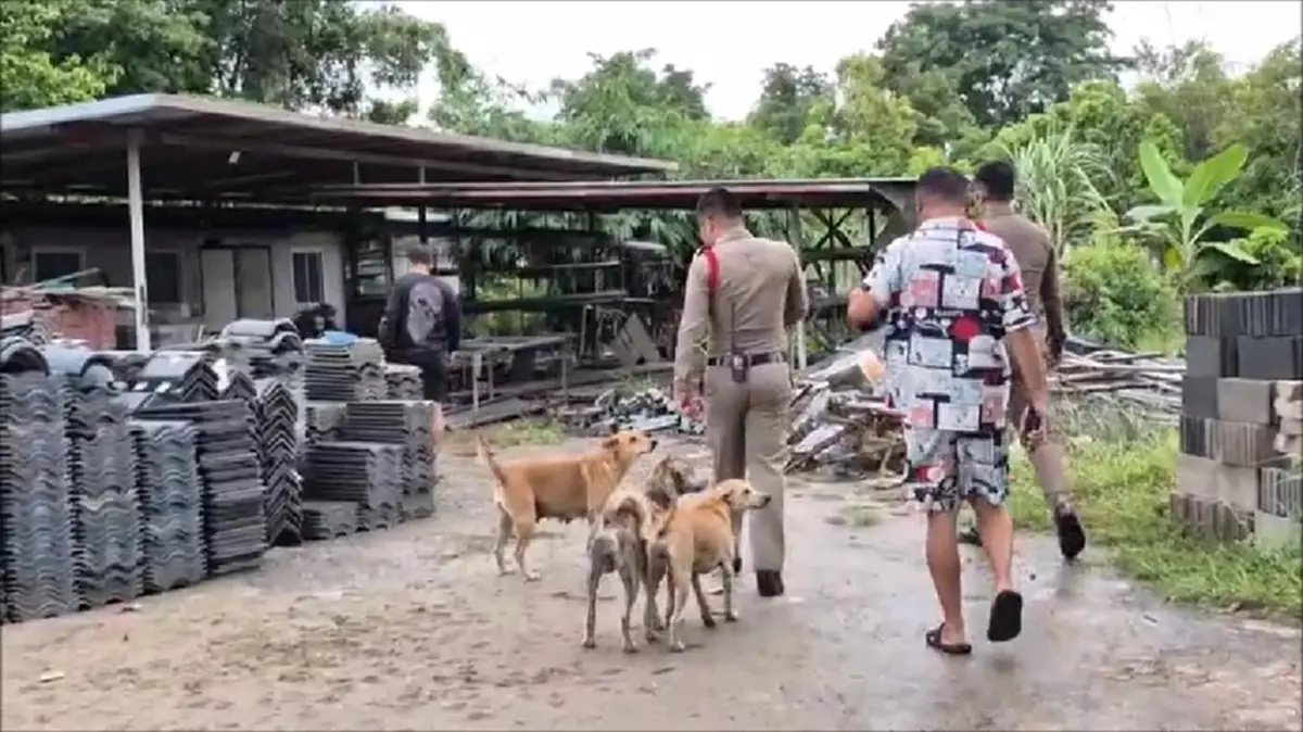 เซ็งทั้งบ้าน! โจรย่องขโมยเหล็กต่อหน้าหมา 5 ตัว ไม่มีเห่าสักตัว