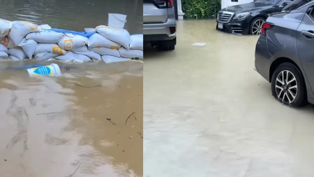 "อั้ม พัชราภา" โพสต์ภาพหน้าบ้านเจอน้ำท่วมขัง หลังฝนตกกระหน่ำ 