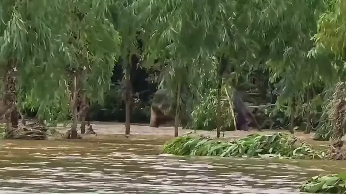 ผลักดันช้างป่าหนีน้ำท่วมสำเร็จ! ดีใจพบ "ชูใจ" ขาพิการแข็งแรง