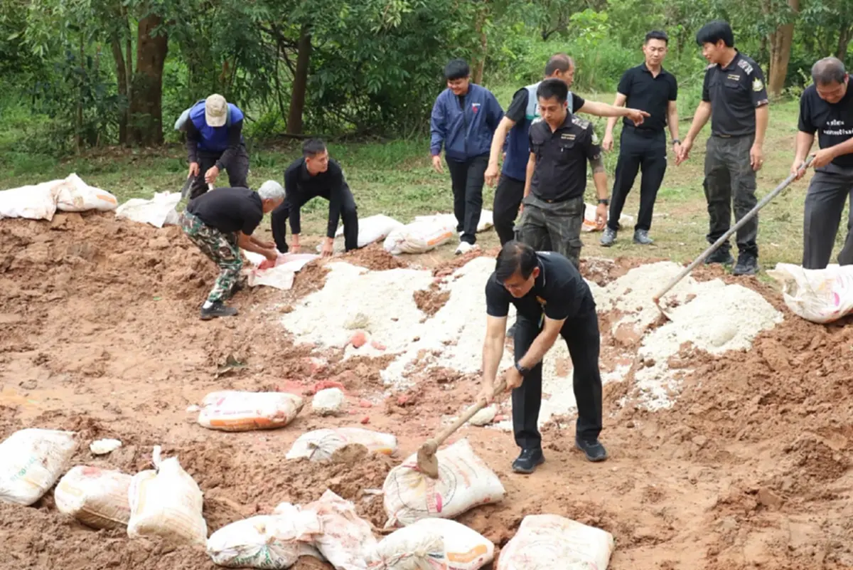 ผู้ว่าฯ เลยปลื้ม! ช้างป่าแห่กินโป่งเทียมภูหลวง คืนสมบูรณ์สู่ป่า