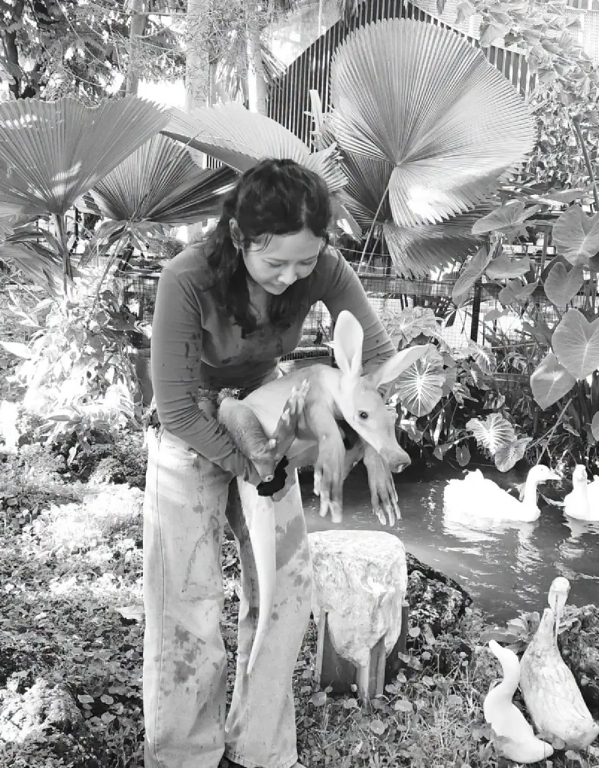 แฟนๆ ใจสลาย "พริกแกง" สัตว์หายาก จากไปกะทันหัน รู้สาเหตุยิ่งเศร้า