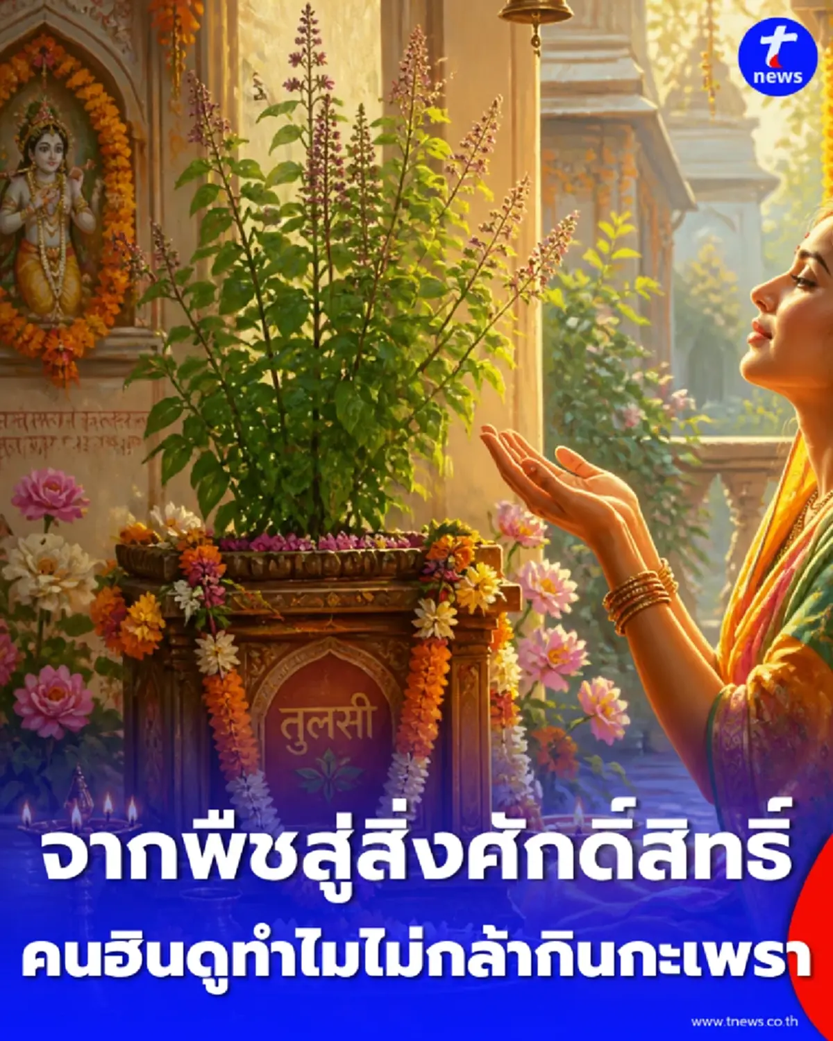 กะเพราอินเดียมีความหมายมากกว่าอาหาร เปิดความเชื่อศักดิ์สิทธิ์ที่เกี่ยวข้องกับพระแม่ลักษมี