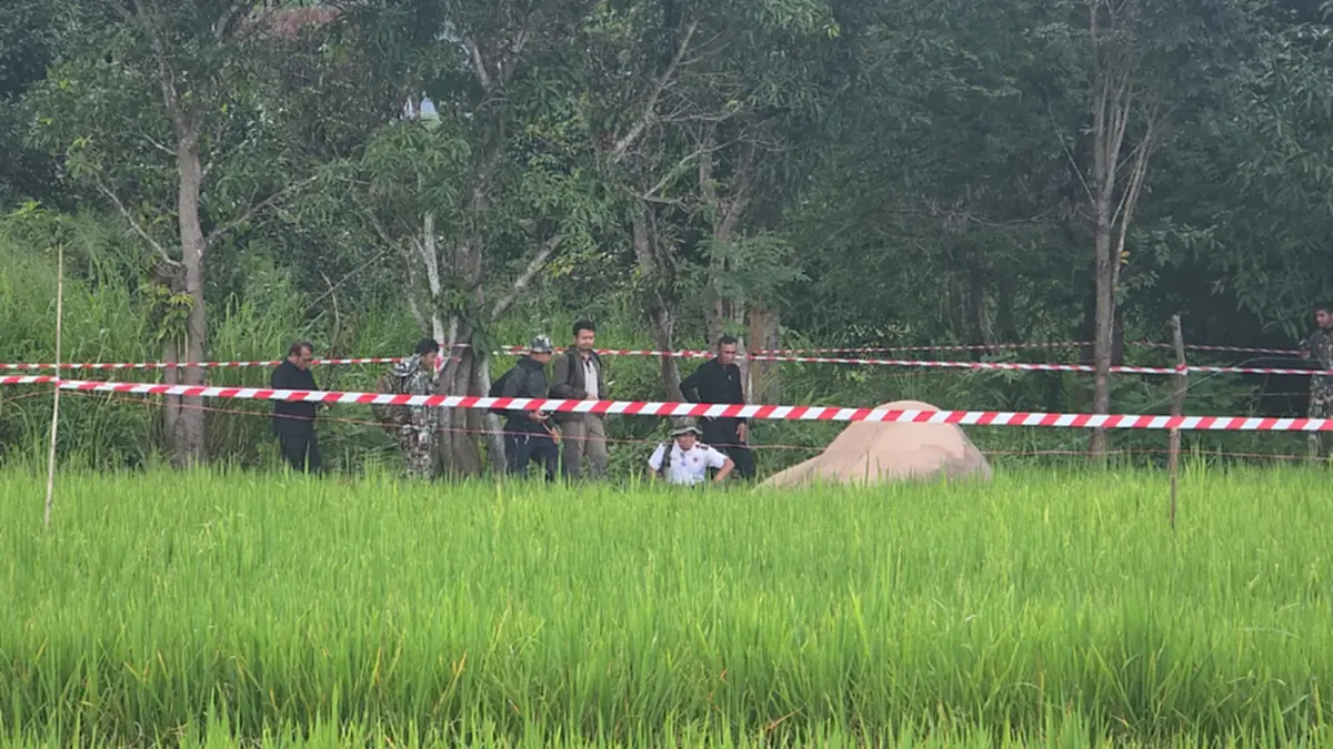 สลด! ช้างป่าภูหลวงถูกไฟช็อตดับคาที่นา ข้าวค้างเต็มปาก