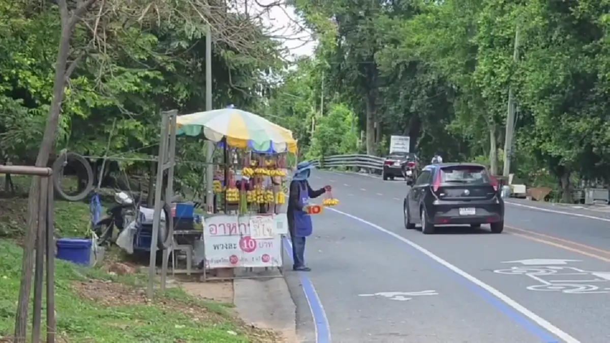 ไวรัลสนั่น! ลิงเขาสามมุขเนียนนั่งกินข้าวเหนียวไก่ย่างกับ นทท.