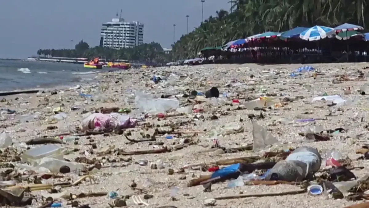 ขยะหลายตันเกลื่อนหาดบางแสน! เทศบาลไม่นิ่งนอนใจเร่งเก็บ
