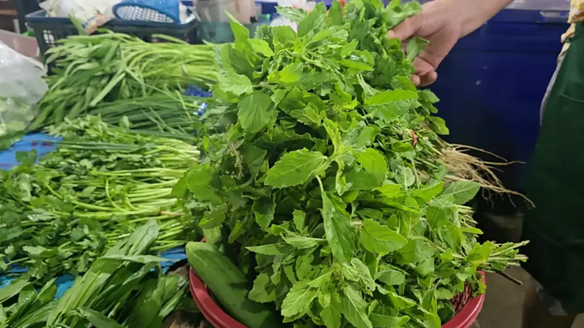 ตลาดอุทัยฯ เมินดราม่ากะเพรา! ยันกะเพราพื้นบ้านไม่ผิดกฎหมาย
