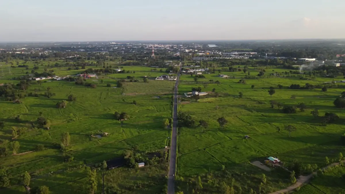 ทางหลวงชนบทยโสธร ปิดไฟถนนชั่วคราว ช่วยชาวนาป้องข้าวไม่ออกรวง