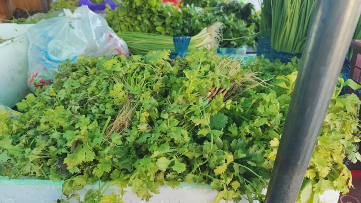 ผักขยับขึ้นราคา รับเทศกาลกินเจ ฝนถี่-น้ำท่วมทำผลผลิตเสียหาย