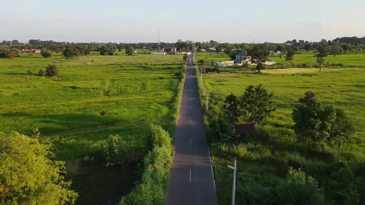 ทางหลวงชนบทยโสธร ปิดไฟถนนชั่วคราว ช่วยชาวนาป้องข้าวไม่ออกรวง