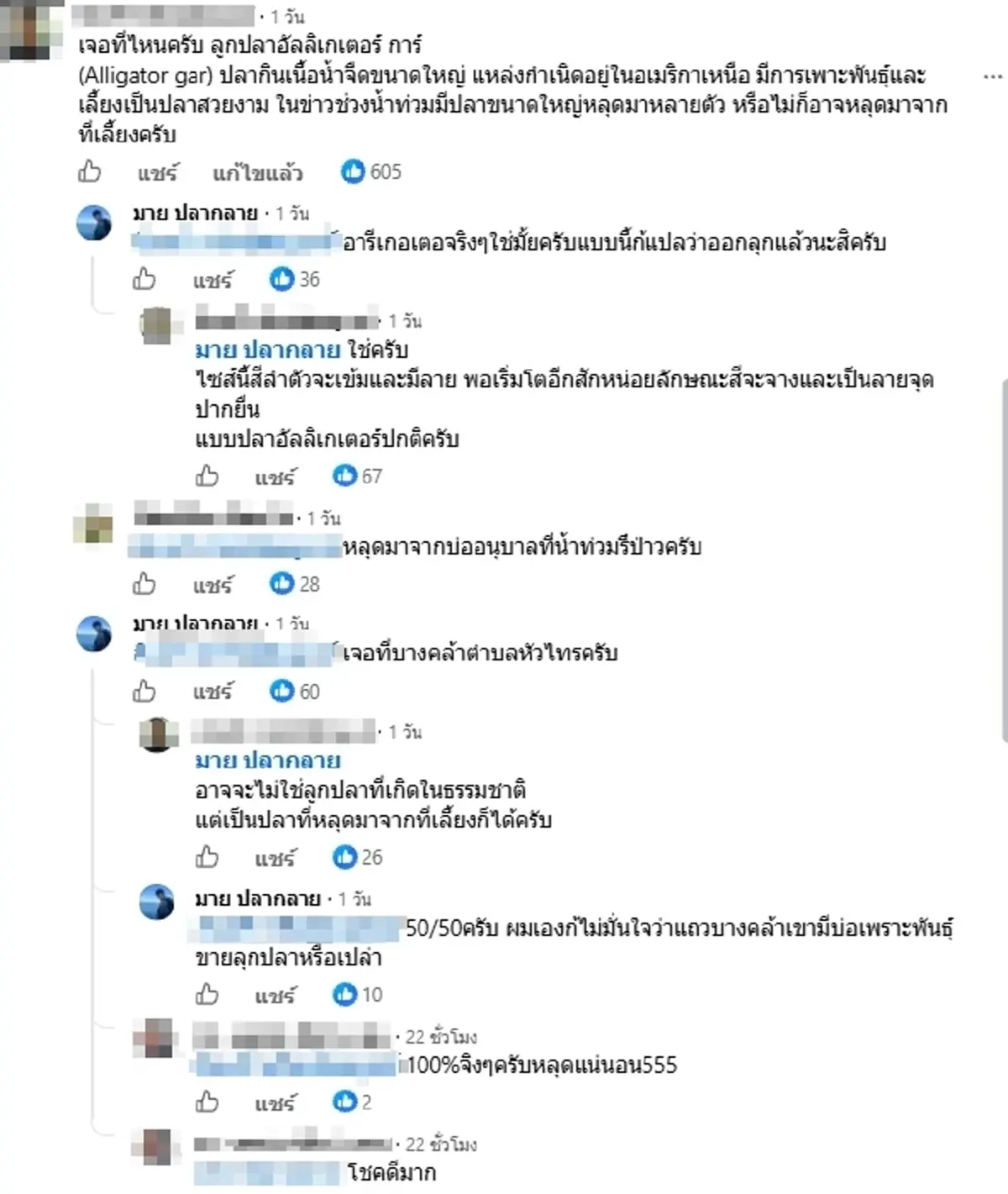 เอาแล้ว หนุ่มเจอปลาตัวจิ๋วปริศนา โพสต์ถามชาวเน็ต งานนี้เรื่องใหญ่