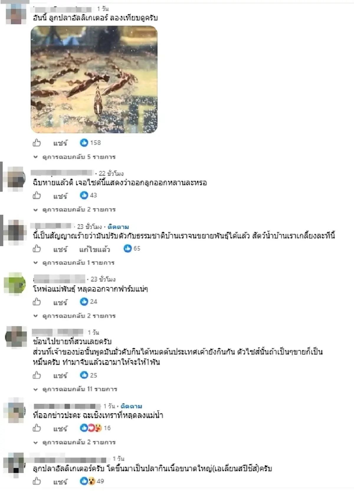 เอาแล้ว หนุ่มเจอปลาตัวจิ๋วปริศนา โพสต์ถามชาวเน็ต งานนี้เรื่องใหญ่