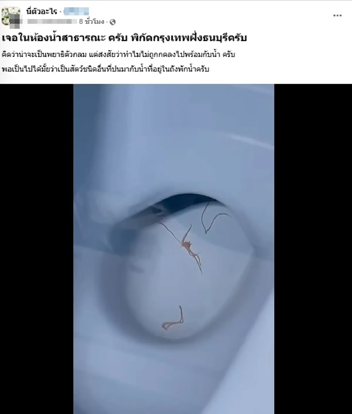 ขนลุกกลางห้องน้ำ เจอสิ่งมีชีวิตปริศนา ชาวเน็ตถกสนั่นคืออะไร