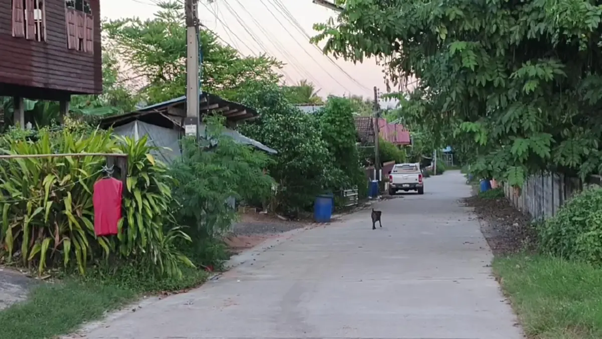 ผวาปอบกิน 13 ศพ! ชาวบ้านอุดรฯ แขวนเสื้อแดง-สื่อสารปู่หลักบ้าน