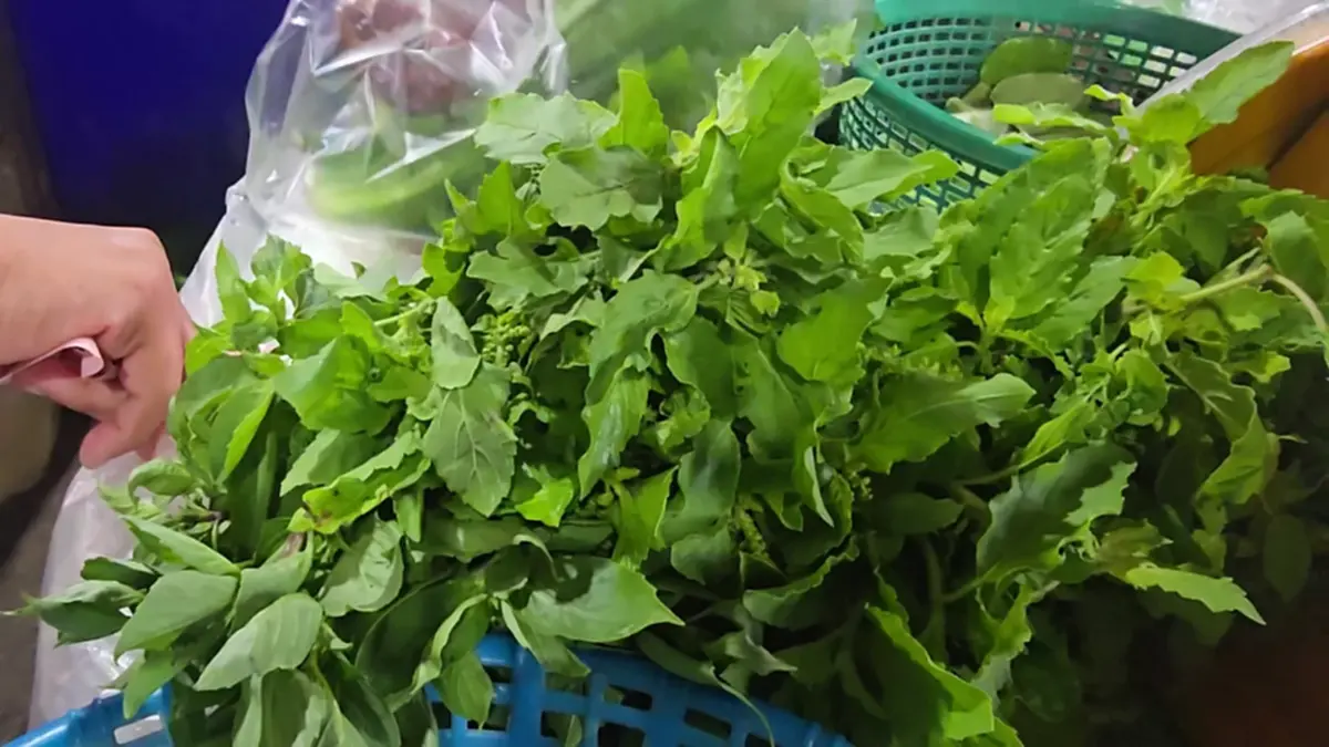 ตลาดอุทัยฯ เมินดราม่ากะเพรา! ยันกะเพราพื้นบ้านไม่ผิดกฎหมาย