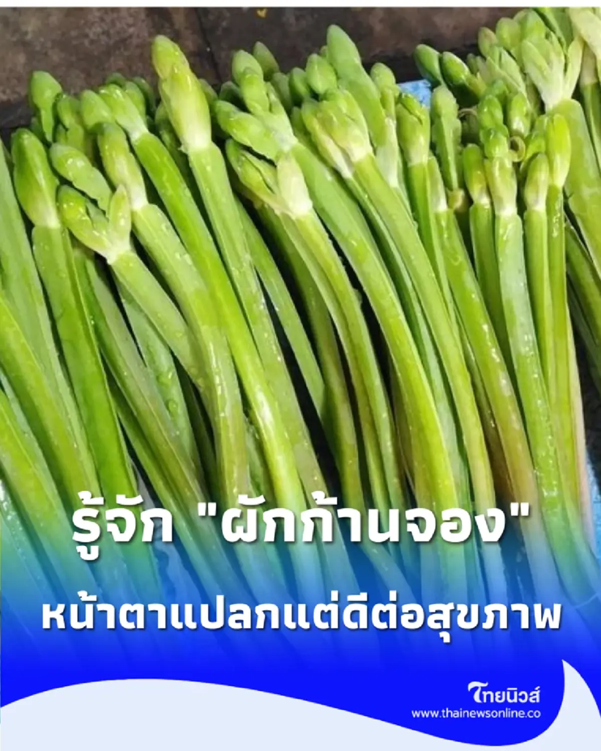 รู้จัก ผักก้านจอง ผักพื้นบ้านหน้าตาแปลก แต่คุณค่าทางอาหารไม่ธรรมดา