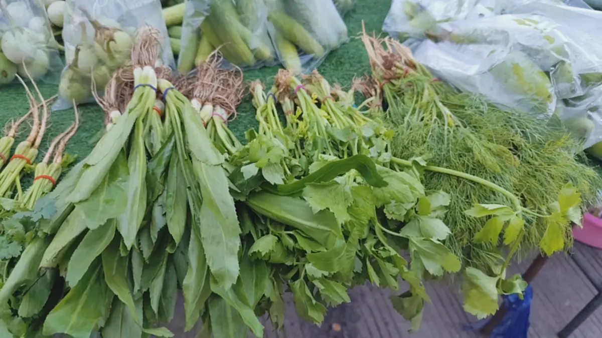 น้ำมันพุ่งทำพิษ! ตลาดสดโคราชของแพงยกแผง ไข่ราคาพุ่ง 165