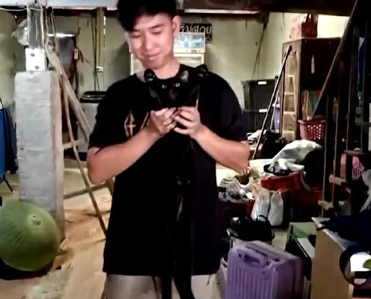 ใจเด็ดเกินตัว เจ้าดำ เหมียวฮีโร่ เปิดศึกงูเห่าช่วยนายหวุดหวิด