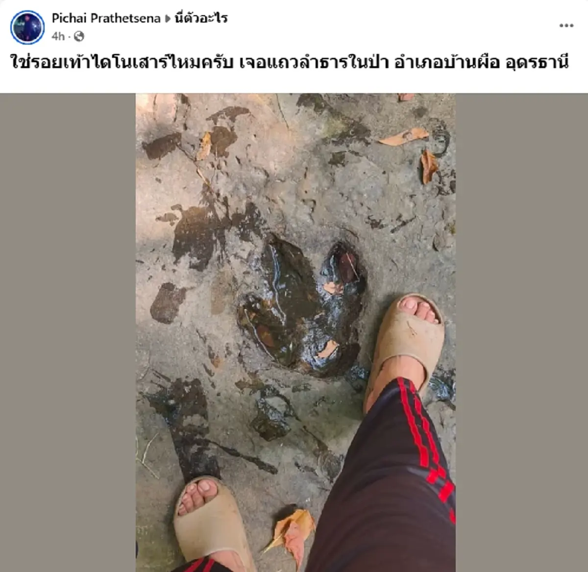 เรื่องถึง กรมทรัพยากรธรณี แล้ว หนุ่มพบรอยเท้าปริศนา กลางป่าอุดรฯ