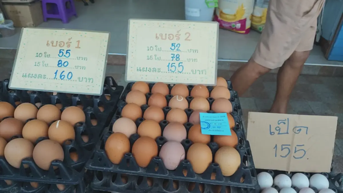 น้ำมันพุ่งทำพิษ! ตลาดสดโคราชของแพงยกแผง ไข่ราคาพุ่ง 165