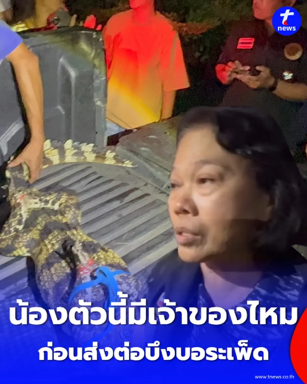 จระเข้ยาว 1.9 เมตร โผล่ทุ่งนาสามโคก จับได้แล้ว เตรียมส่งบึงบอระเพ็ด