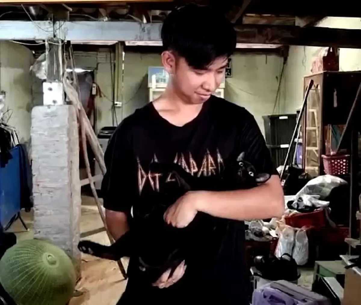 ใจเด็ดเกินตัว เจ้าดำ เหมียวฮีโร่ เปิดศึกงูเห่าช่วยนายหวุดหวิด