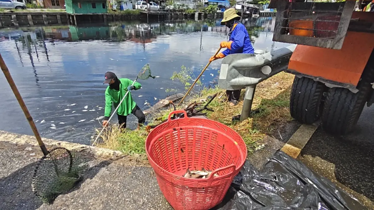 ปทุมฯ วิกฤตน้ำเน่า! ปลาตายเกลื่อนคลอง จี้ชลประทานปล่อยน้ำดี