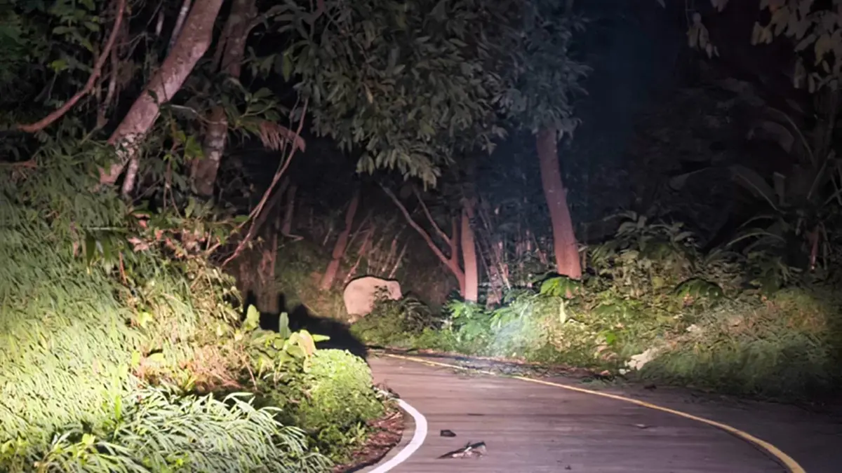 ภาพ : อุทยานแห่งชาติทองผาภูมิ - Thong Pha Phum National Park
