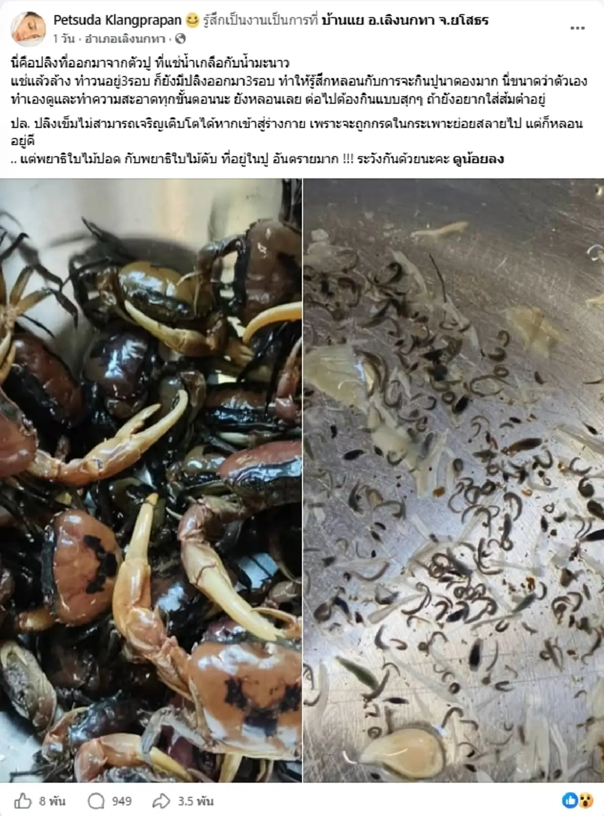 คนรักส้มตำมีสะดุ้ง สาวหลอนหนัก แช่ปูนาดอง เจอสิ่งที่ไม่คาดคิด