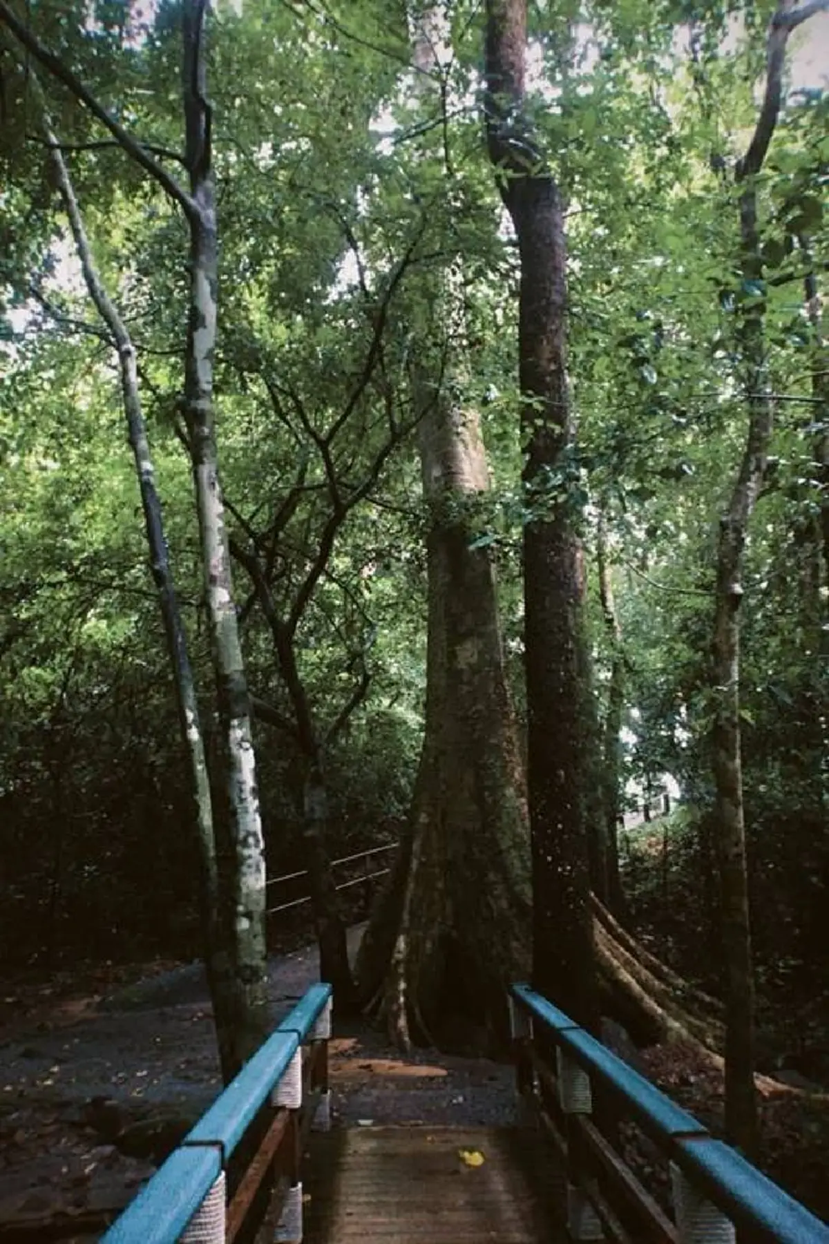 อุทยานแห่งชาติดัง ประกาศงดแต่งผีรับฮาโลวีน ให้เหตุผลน่าขนลุก