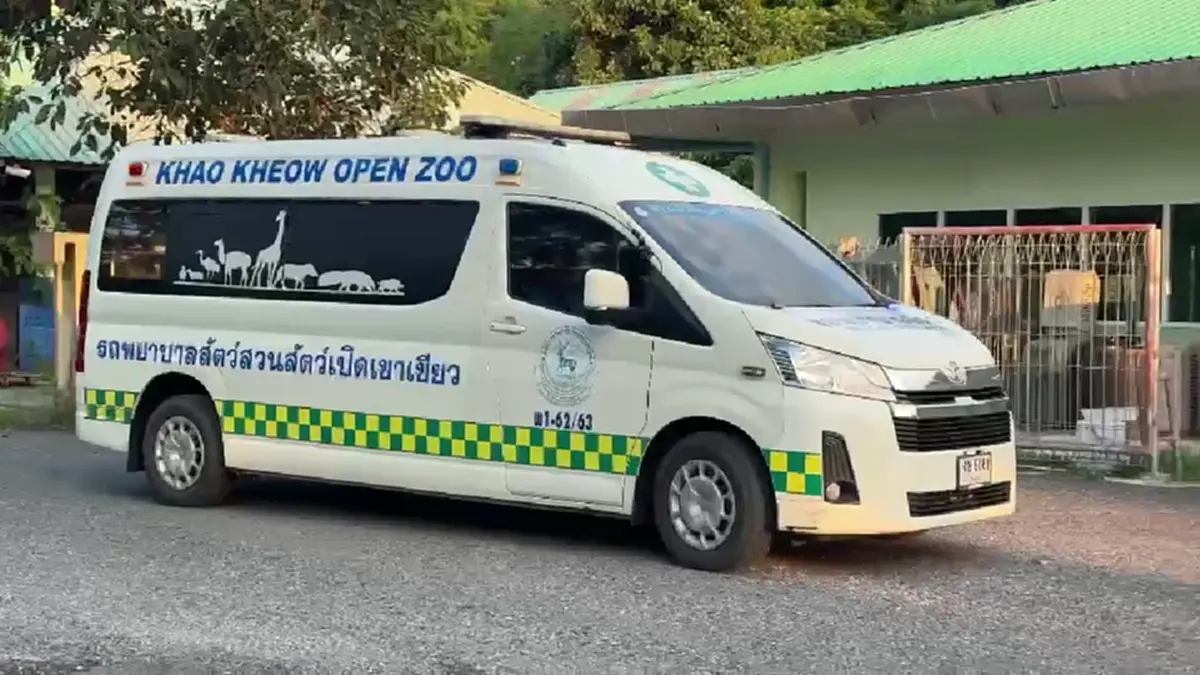 ถึงเขาเขียวแล้ว! "แพนด้าแดง" ปลอดภัย เตรียมกักโรค 30 วัน