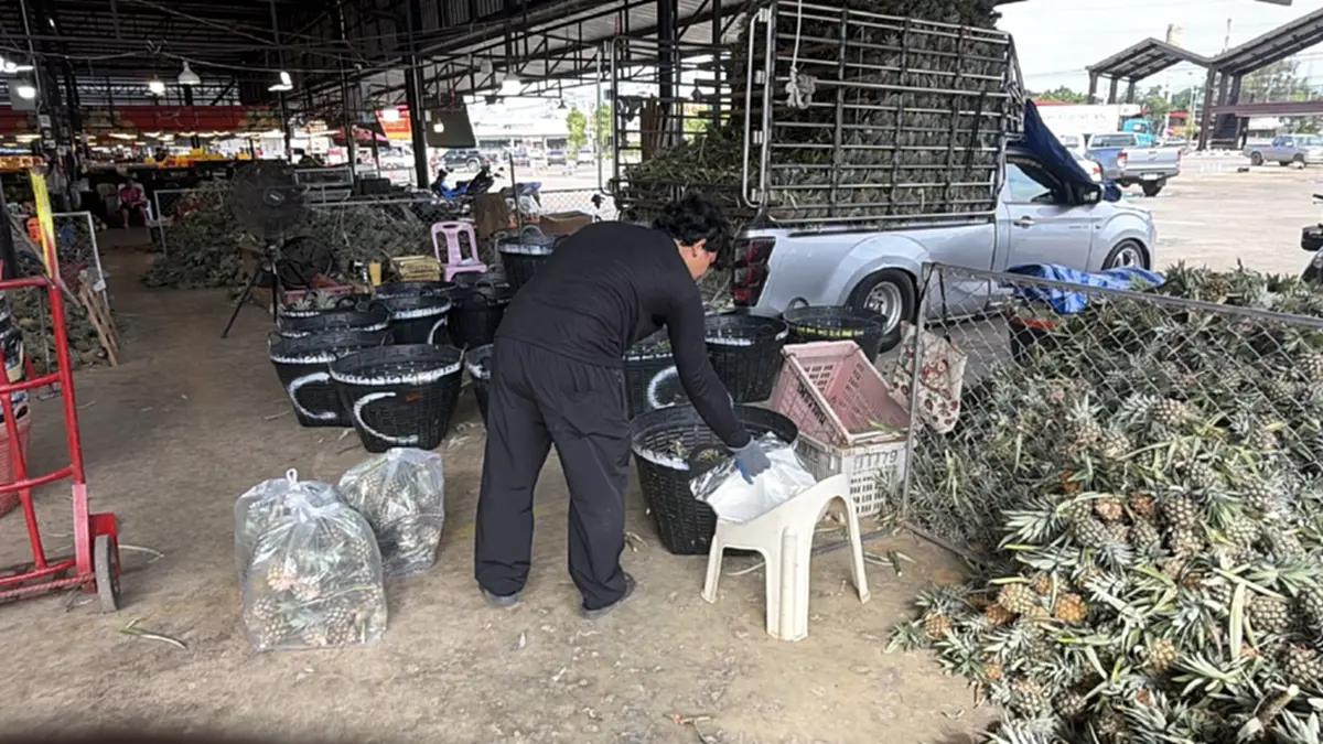 ร้านผลไม้โคราชตรึงราคาขาย สวนดีเซลพุ่ง ขนส่งจ่อปรับขึ้น