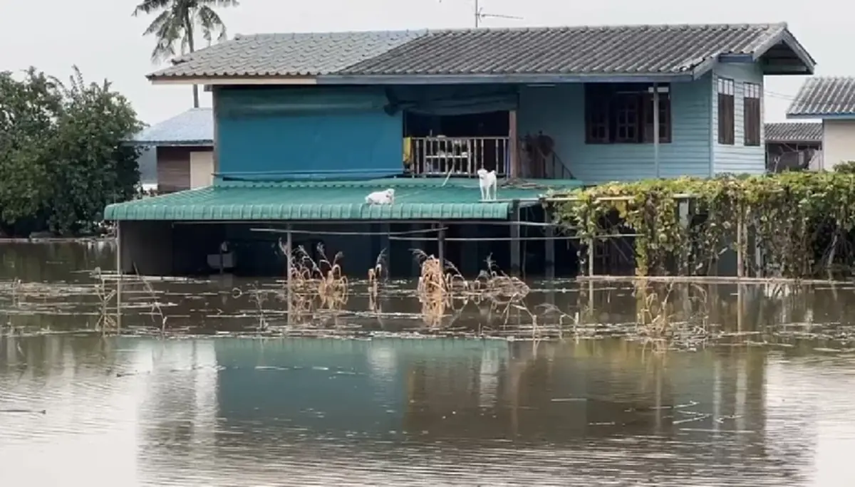 น้ำท่วมอุทัยธานี วิกฤตหนัก! มวลน้ำทะลักตัดขาดทางเข้าเมือง