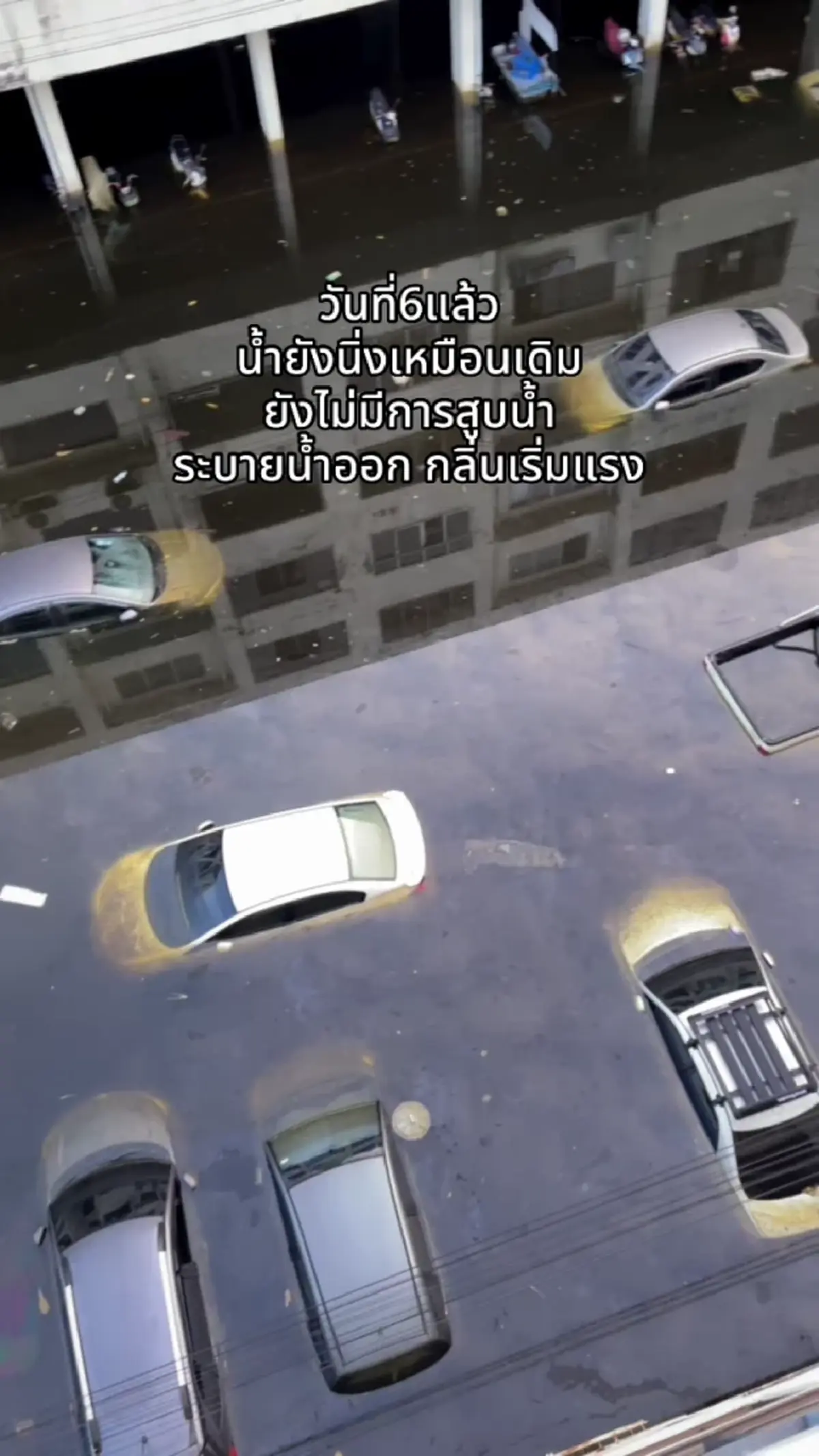 วิกฤตหนัก  เคหะร่มเกล้าจมน้ำสูง  ขยะเน่า-คราบน้ำมันซ้ำเติม 